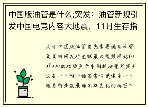 中国版油管是什么;突发：油管新规引发中国电竞内容大地震，11月生存指南 